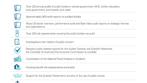 What public audit delivers