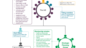 Organisation chart for a typical IJB