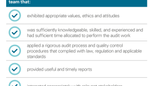 Quality audit features