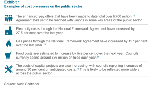 Examples of cost pressures on the public sector