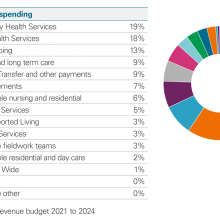 Pie graph illustrating Fife IJB revenue budget 2021 to 2024