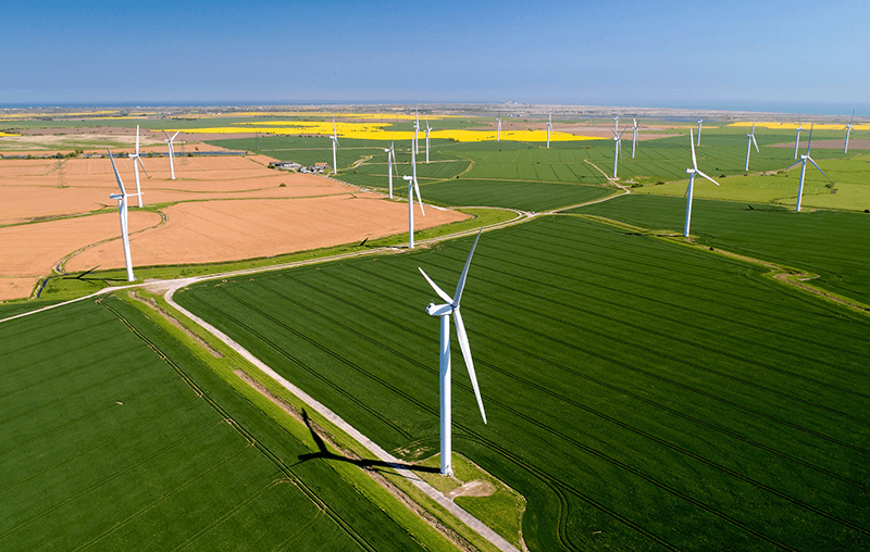 A field containing wind turbines